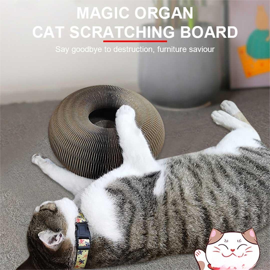 💕Ofertă fierbinte de ultima zi de Anul Nou💕Jucărie magică de zgâriat pisici