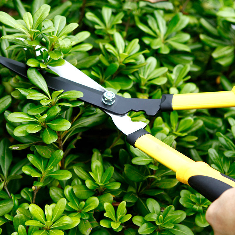 Lawn Mowers Shrub Trimming Hedge Shears