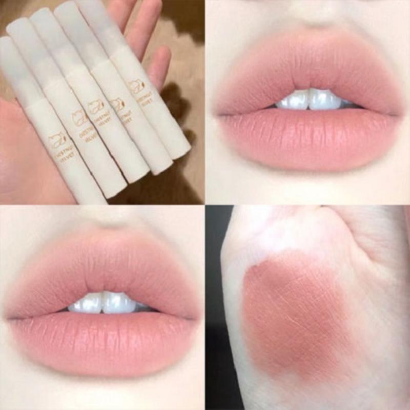 Chestnut Lipstick Makeup Velvet Matte Lip Gloss Waterproof Long Lasting Nude Lipstick Sexy Red Lip Tint Women Cosmetic TSLM1