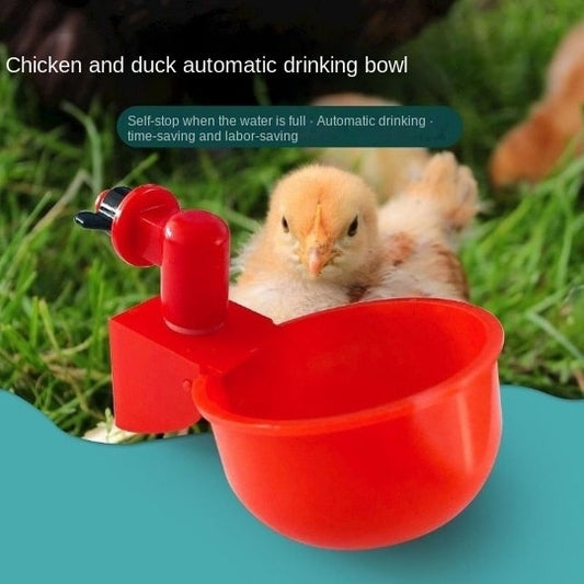 Poultry Automatic Drinking Bowl Automatic Chicken Water Dispenser Chicken Drinking Cup Drinking Water Dispenser for Chicken