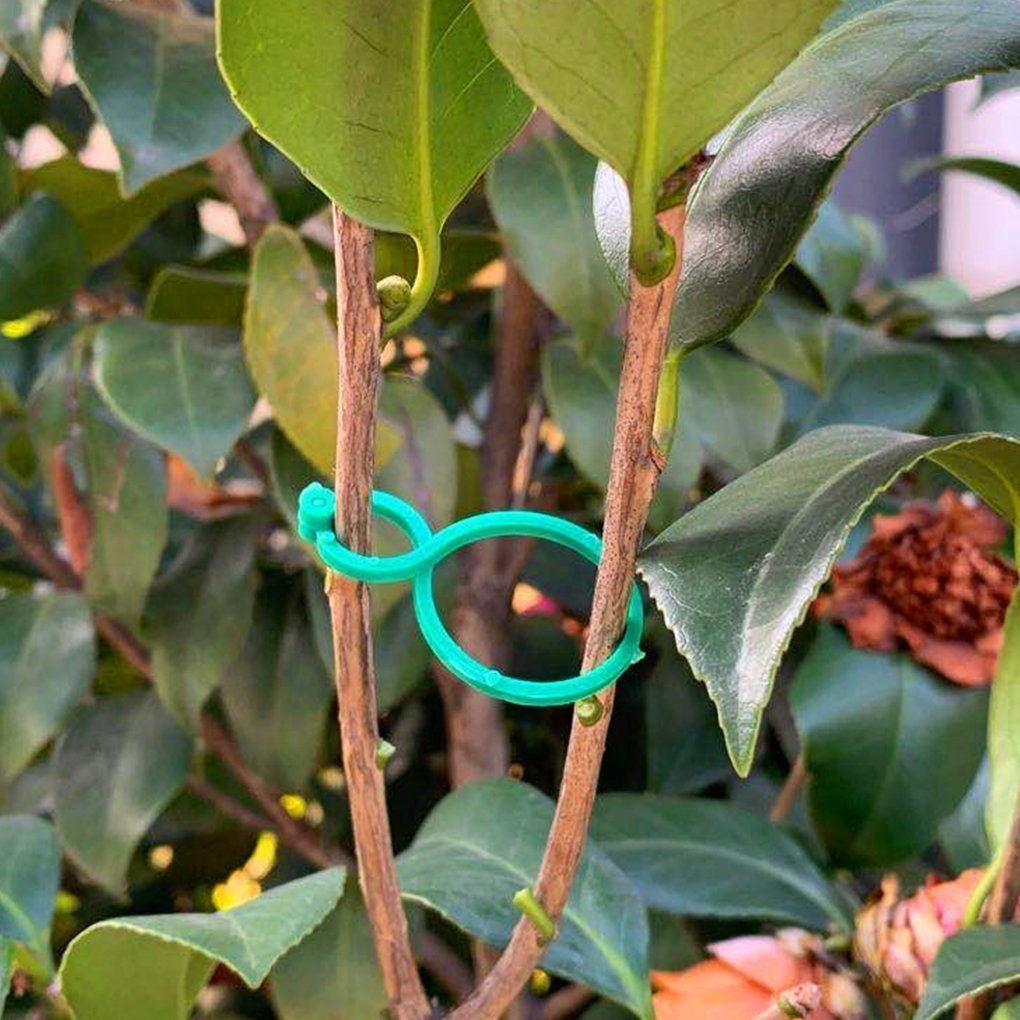 Gardening Tools Climbing Plant Support Clips