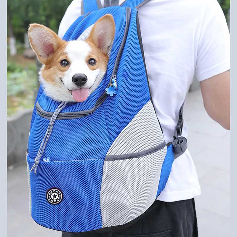 🔥New Year Promotion 59% Off 🔥Pet Backpack Carrier